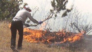 Yayladere’deki yangın iki gündür söndürülemiyor