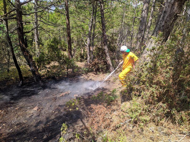 Eskişehir'de yıldırım düşmesi sonucu çıkan orman yangını söndürüldü G3