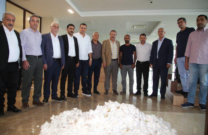 Şanlıurfa'da sezonun ilk pamuk hasadı yapıldı G2