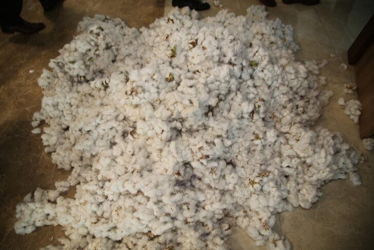 Şanlıurfa'da sezonun ilk pamuk hasadı yapıldı G3