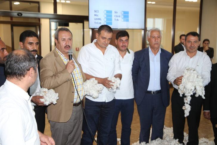 Şanlıurfa'da sezonun ilk pamuk hasadı yapıldı G4