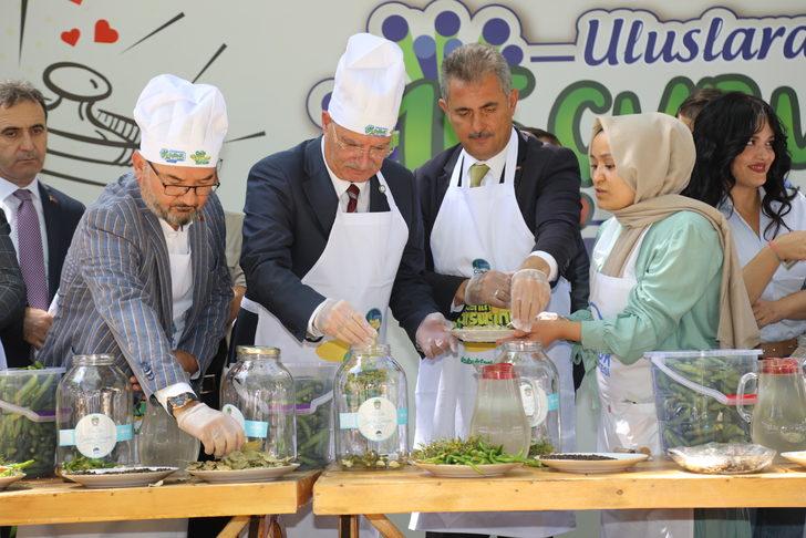 "Uluslararası Çubuk Turşu ve Kültür Festivali" için geri sayım başladı G5