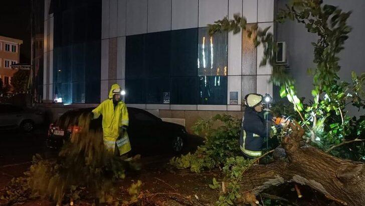 Yalova'da yağmur ve fırtına etkili oldu G1