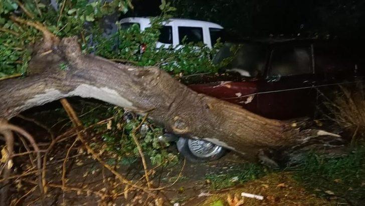 Yalova'da yağmur ve fırtına etkili oldu G2