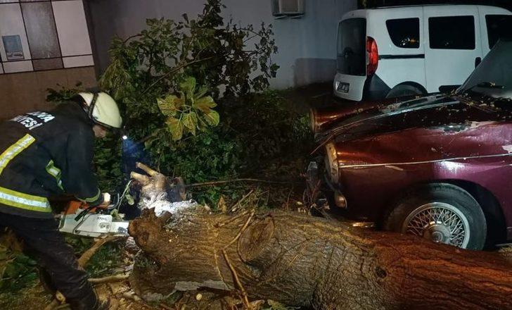 Yalova'da yağmur ve fırtına etkili oldu G3