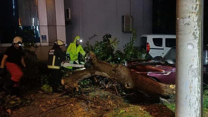 Yalova'da yağmur ve fırtına etkili oldu G4