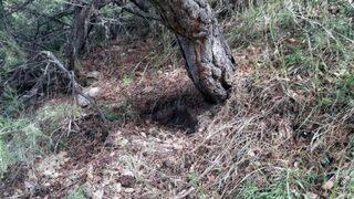 'Topuk kanı' verilmeyince, bebek cinayeti ortaya çıktı