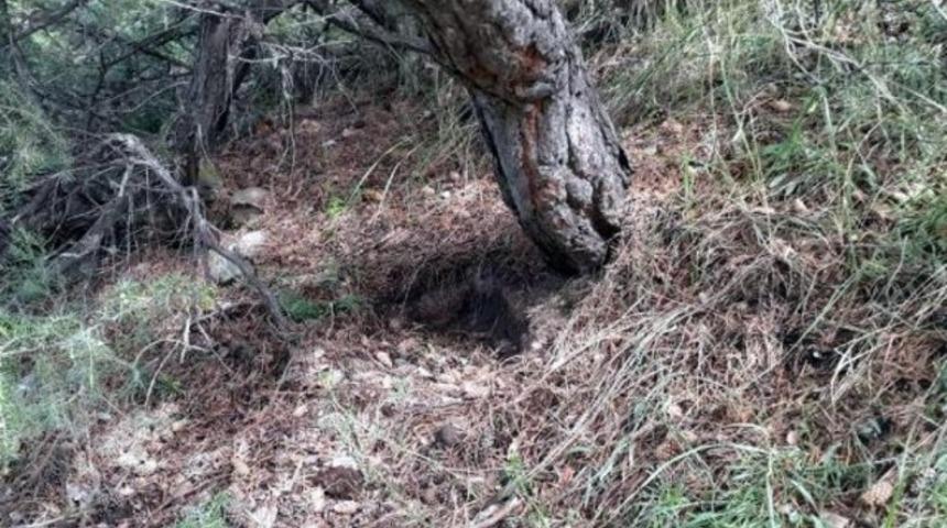 'Topuk kanı' verilmeyince, bebek cinayeti ortaya çıktı