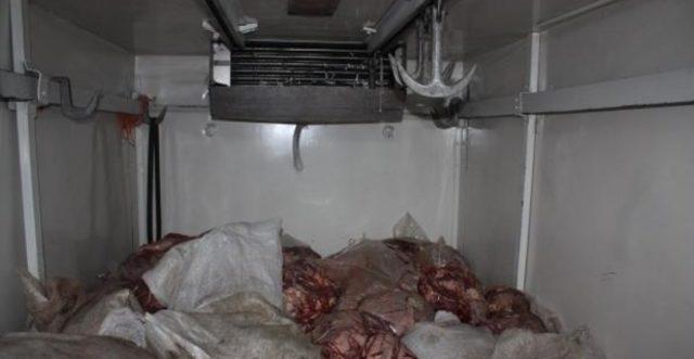 Keşan’da 2 bin 700 kilo kaçak et bulundu 1