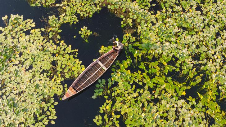 Su sümbülleri Hatay'daki Gölbaşı Gölü'nü yeşile boyadı G1