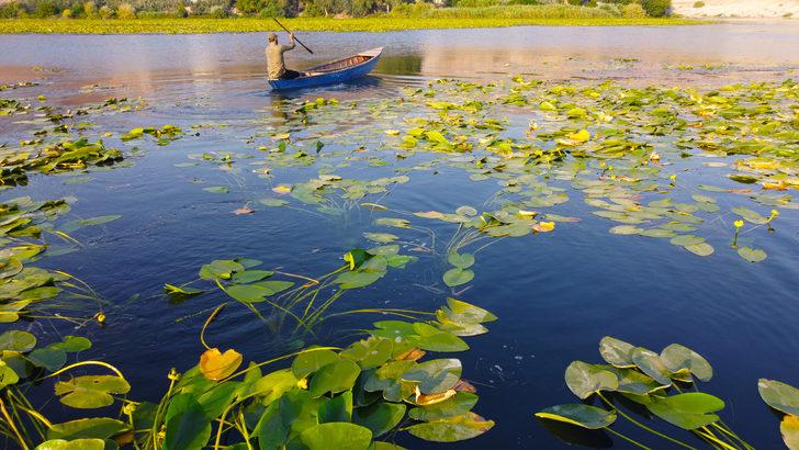 Su sümbülleri Hatay'daki Gölbaşı Gölü'nü yeşile boyadı G3