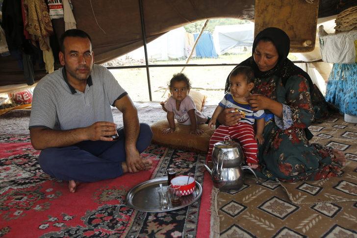 Samsun'da mevsimlik tarım işçilerinin fındık hasadı mesaisi sürüyor G5