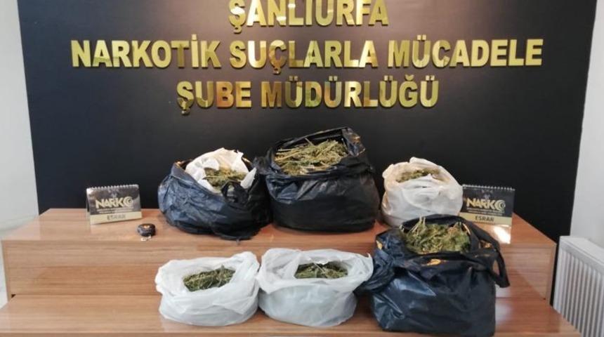 Şanlıurfa'da 9 kilo 500 gram esrar ele geçirildi