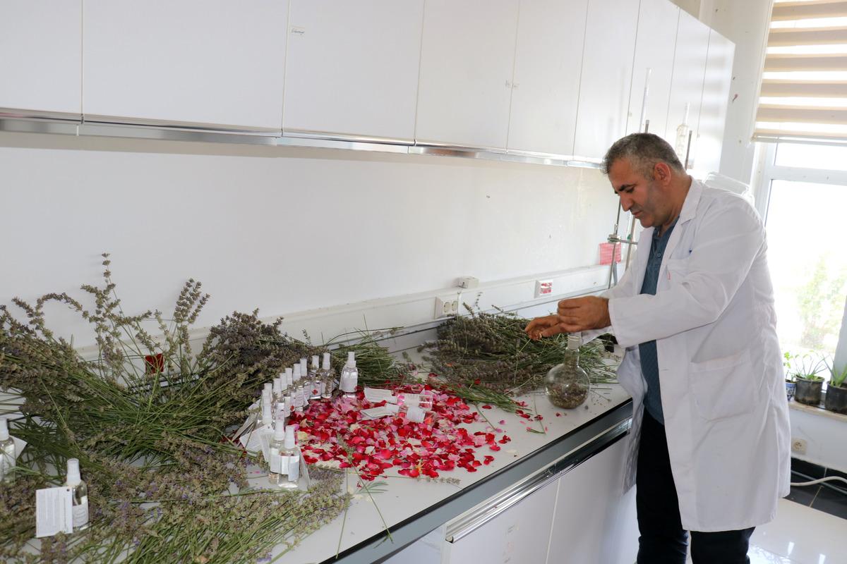 Iğdır &Uuml;niversitesi g&uuml;l ile lavantadan cilt ve bakım losyonu &uuml;retti