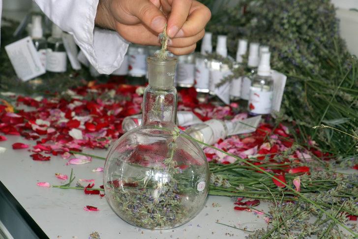 Iğdır Üniversitesi gül ile lavantadan cilt ve bakım losyonu üretti G2