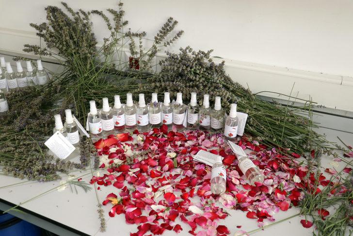 Iğdır Üniversitesi gül ile lavantadan cilt ve bakım losyonu üretti G5