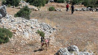 Mersin'de ailesinin kayıp başvurusunda bulunduğu kadın aranıyor