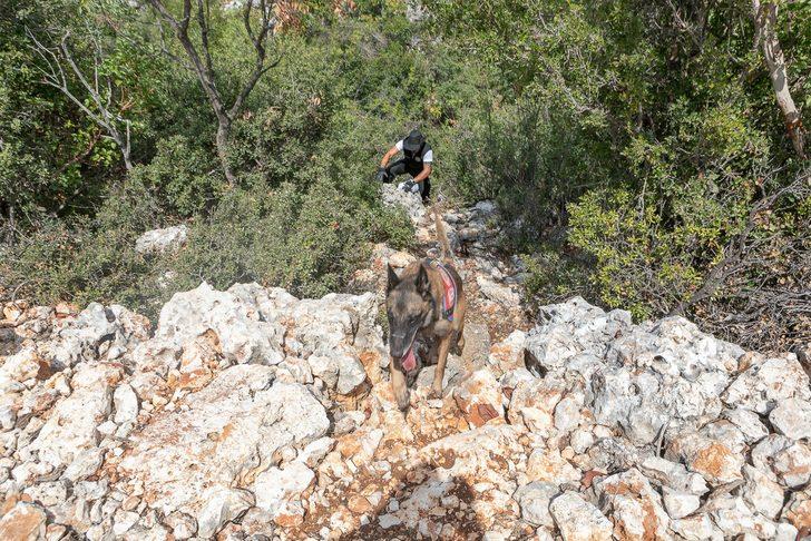 Mersin'de ailesinin kayıp başvurusunda bulunduğu kadın aranıyor G4