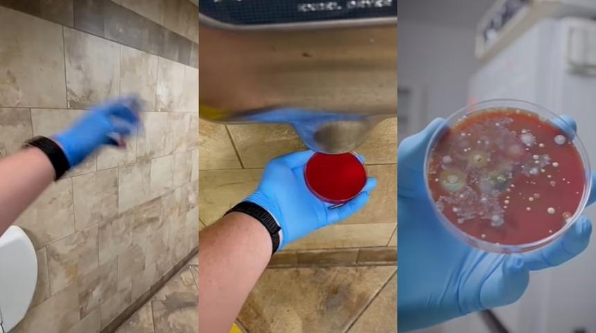 Sonuçlar beklenen çok daha kötü! Her yerdeler: Bir daha asla elinizi uzatmayacaksınız! En iyi yöntem ise...