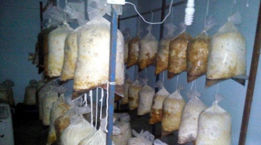 Diyarbakır&rsquo;ı yok etmeye yetecek bomba yakalandı