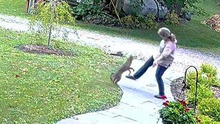 Korku dolu anlar! Bahçesinde bir anda karşısına çıkan kuduz tilkinin saldırısına uğradı