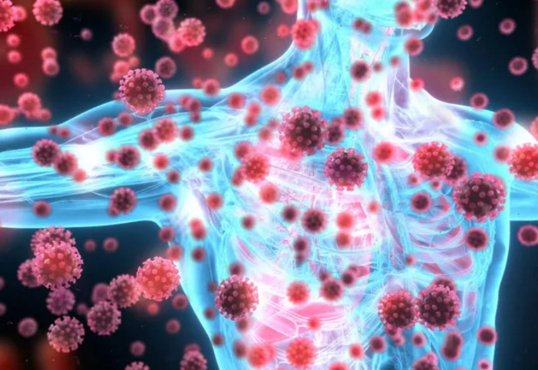 Tam mevsiminde yiyin! Bağışıklık sistemine yardımcı gıdalar