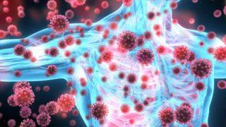 Tam mevsiminde yiyin! Bağışıklık sistemine yardımcı gıdalar