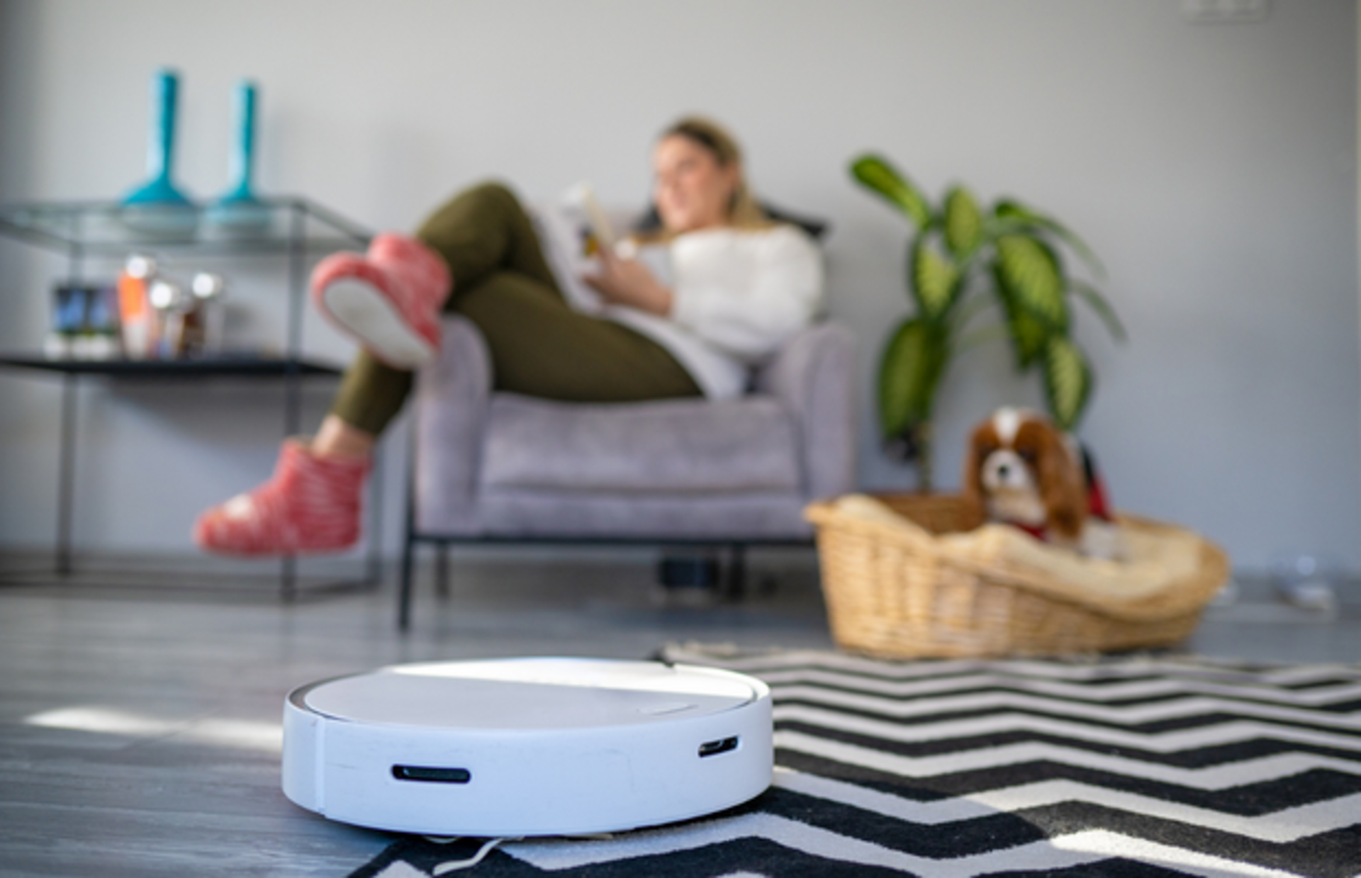 Xiaomi Mi Robot Vacuum Mop 2 Lite akıllı robot süpürgede %19 indirim! Bu fırsat kaçmaz!