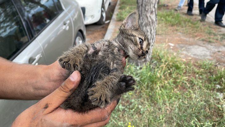Karabük'te sürücüsü il dışında olan otomobilin motoruna giren kedi yavrusu kurtarıldı G4