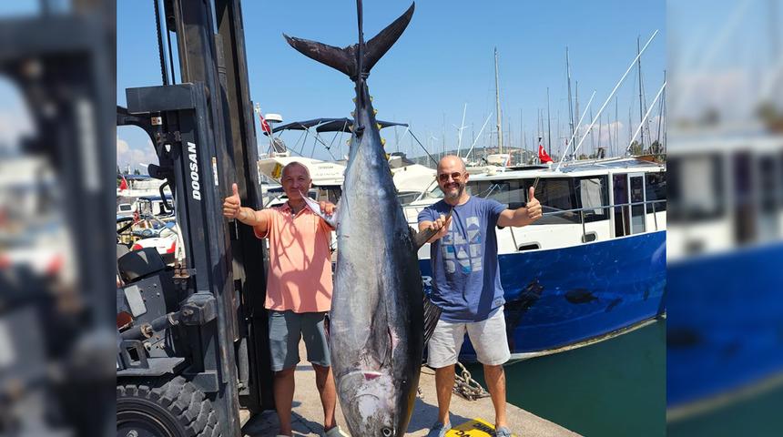 1,5 saatte yakaladılar! Tam 2 metre 15 santimetre boyunda