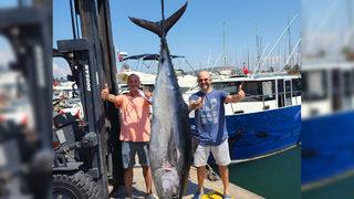 1,5 saatte yakaladılar! Tam 2 metre 15 santimetre boyunda