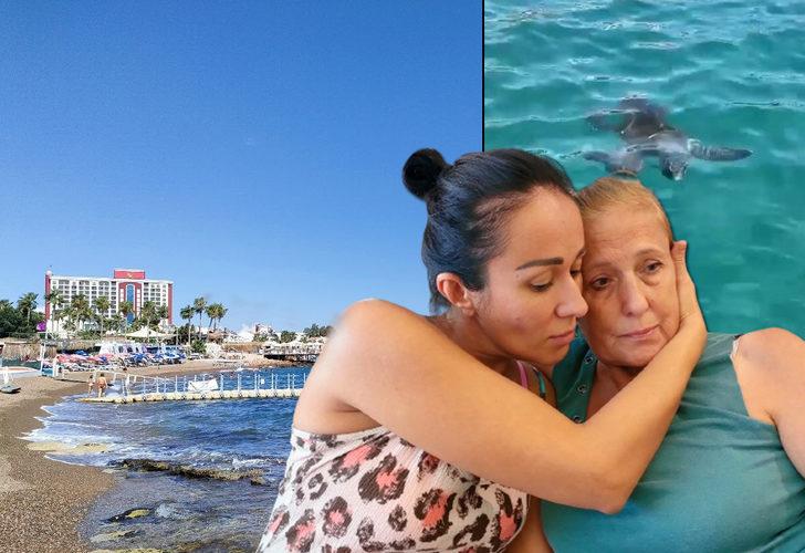 Antalya'da denize giren Rus kadın dehşeti yaşadı! Ceretta caretta saldırdı