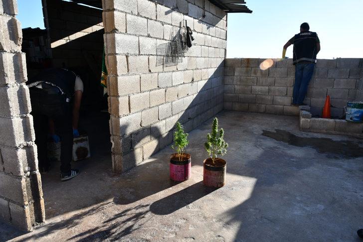 Gaziantep'te uyuşturucu operasyonunda 20 zanlı yakalandı G4