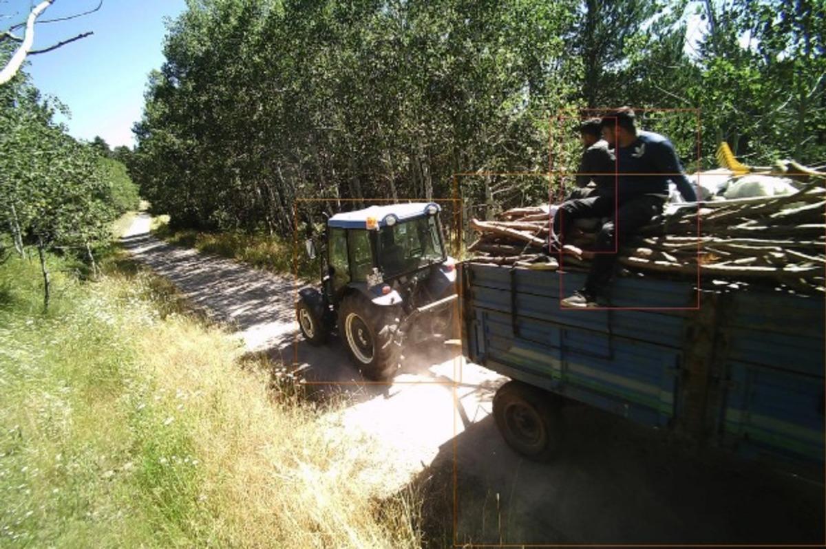Kars'ta ormanlık alanda izinsiz ağa&ccedil; kesenler fotokapana yakalandı
