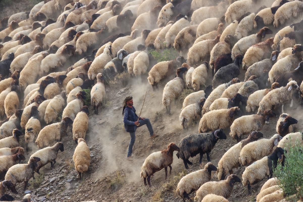 Yaz boyunca yaylalarda konaklayan g&ouml;&ccedil;erler eve d&ouml;n&uuml;ş yolculuğuna başladı
