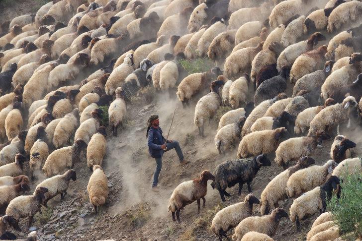 Yaz boyunca yaylalarda konaklayan göçerler eve dönüş yolculuğuna başladı G1