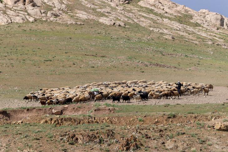 Yaz boyunca yaylalarda konaklayan göçerler eve dönüş yolculuğuna başladı G2
