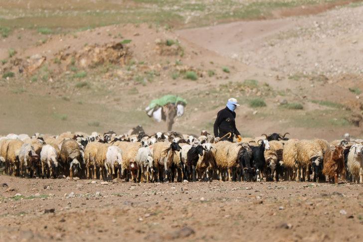 Yaz boyunca yaylalarda konaklayan göçerler eve dönüş yolculuğuna başladı G3