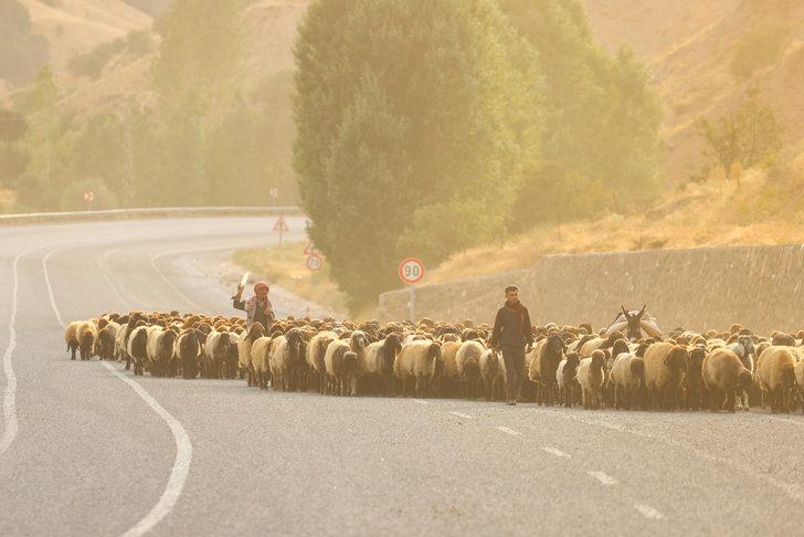 Yaz boyunca yaylalarda konaklayan göçerler eve dönüş yolculuğuna başladı G4