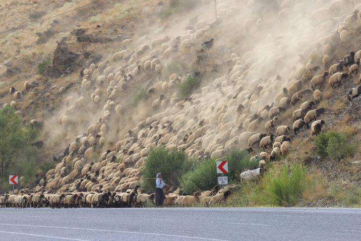 Yaz boyunca yaylalarda konaklayan göçerler eve dönüş yolculuğuna başladı G5