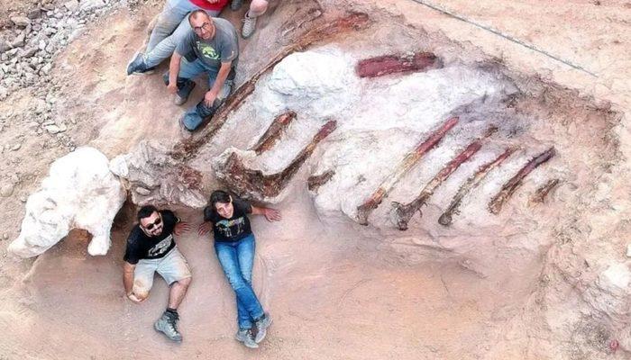 Evinin arka bahçesinden 82 metrelik dev dinozor iskeleti çıktı! “Şimdiye kadarki en büyüklerinden biri”