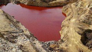 Kahramanmaraş'ta kan kırmızı gölet! İçmek için sıraya giriyorlar