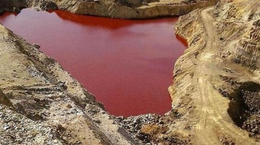 Kahramanmaraş'ta kan kırmızı gölet! İçmek için sıraya giriyorlar