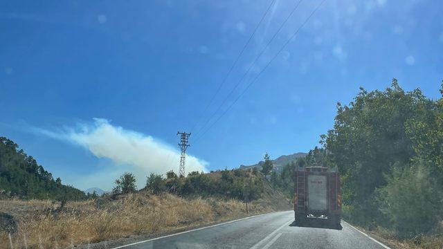 Kahramanmaraş'ta çıkan orman yangınına müdahale ediliyor