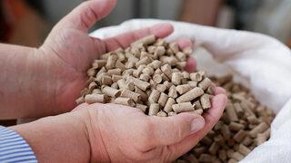 Bulgaristan vatandaşları kara kara düşünüyordu, akın akın Edirne'ye geliyorlar! Taleplere yetişemiyoruz