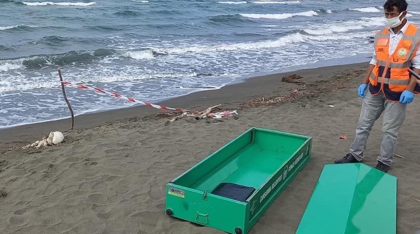 Sahilde yürüyüş yapan vatandaşlar fark etti! Ekipler teyakkuza geçti