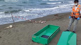 Sahilde yürüyüş yapan vatandaşlar fark etti! Ekipler teyakkuza geçti