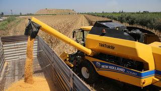 Bakan Kirişci, Hatay'daki mısır hasadı törenine telefonla katıldı: