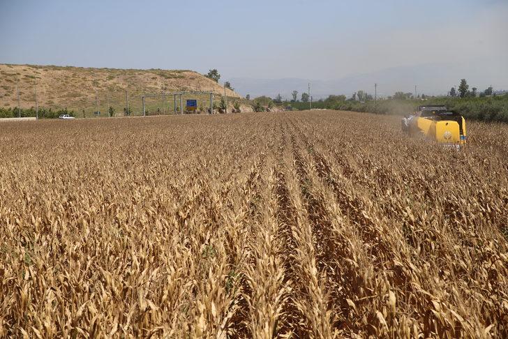 Bakan Kirişci, Hatay'daki mısır hasadı törenine telefonla katıldı: G3