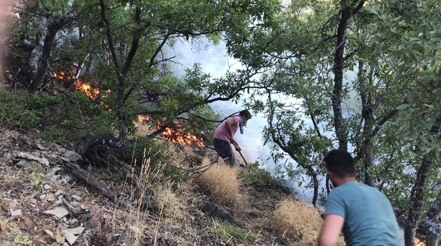 Tunceli'de ormanlık alanda çıkan örtü yangını söndürüldü